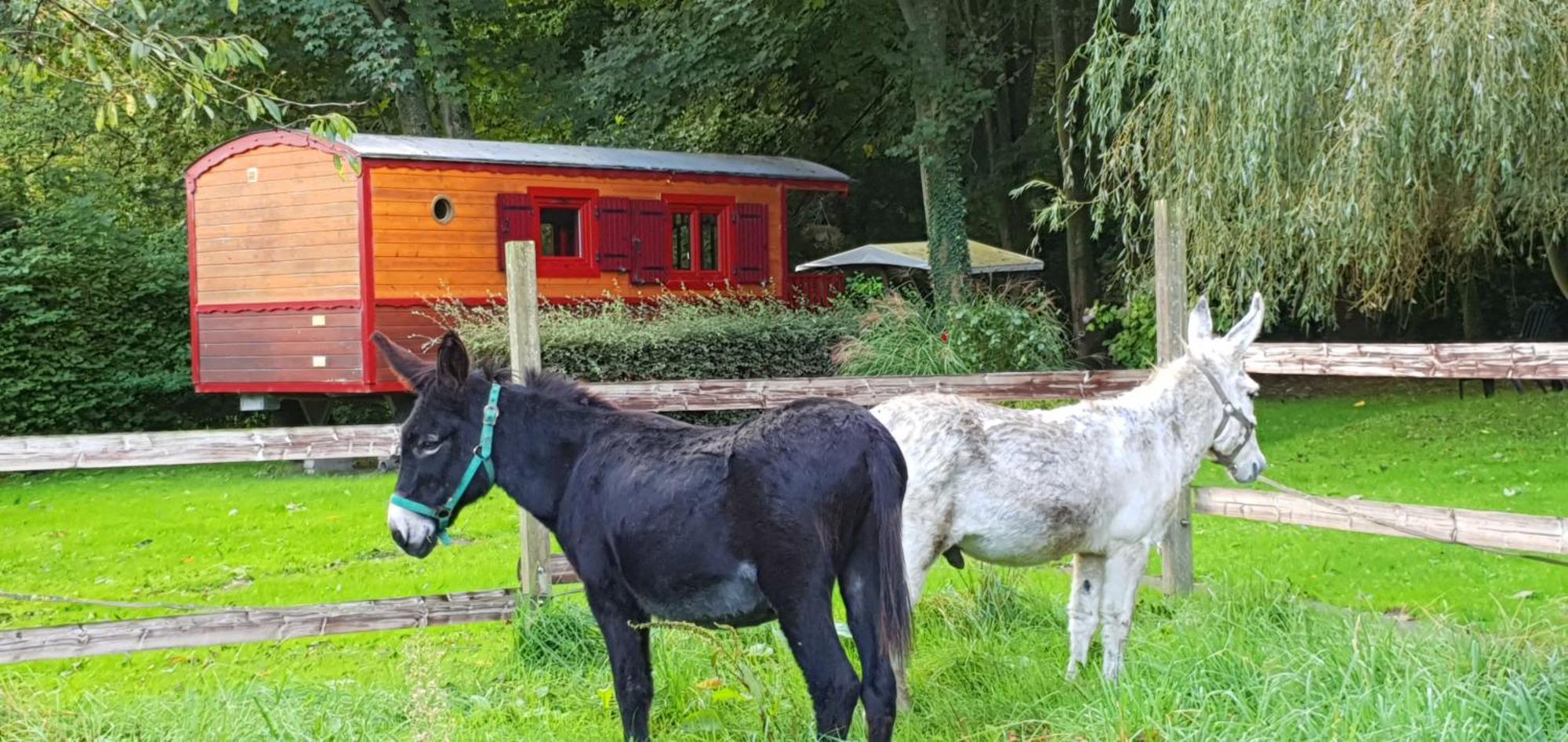 La Fermette Des Ramolleux Villa Crécy-en-Ponthieu Rom bilde